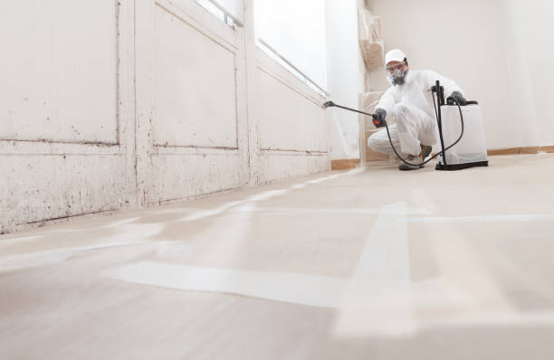 24/7 Emergency Black Mold Remediation experts in Midland, MI