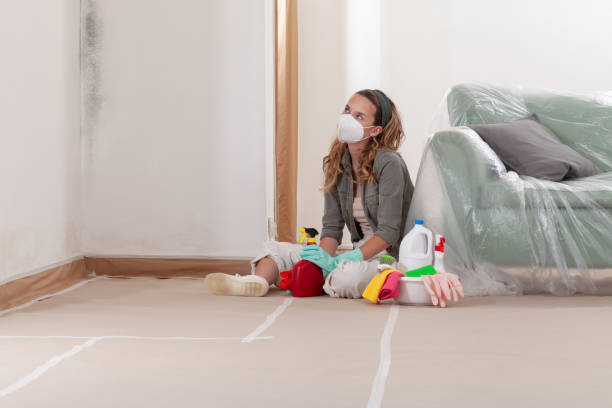 Reliable Black Mold Remediation contractor in Midland, MI by Car Mold Remediation